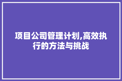 项目公司管理计划,高效执行的方法与挑战