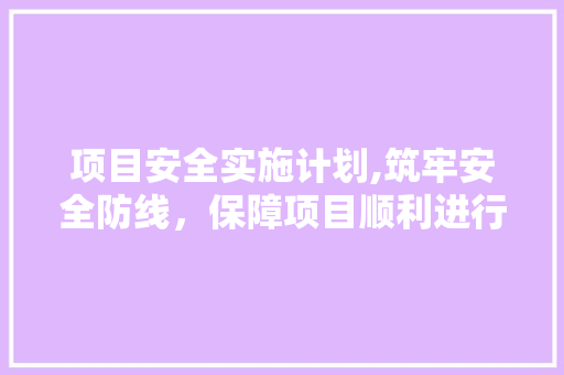 项目安全实施计划,筑牢安全防线，保障项目顺利进行