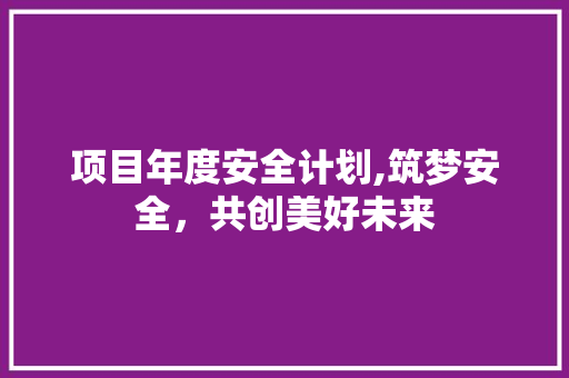 项目年度安全计划,筑梦安全，共创美好未来