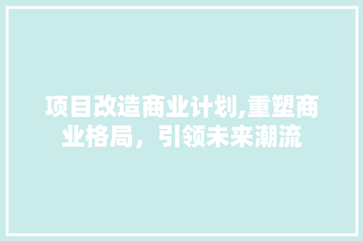 项目改造商业计划,重塑商业格局，引领未来潮流