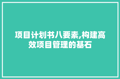 项目计划书八要素,构建高效项目管理的基石