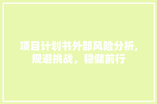 项目计划书外部风险分析,规避挑战，稳健前行