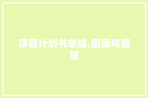 项目计划书总结,回顾与展望