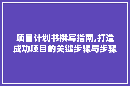 项目计划书撰写指南,打造成功项目的关键步骤与步骤