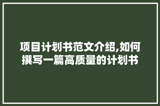 项目计划书范文介绍,如何撰写一篇高质量的计划书