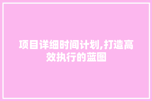 项目详细时间计划,打造高效执行的蓝图