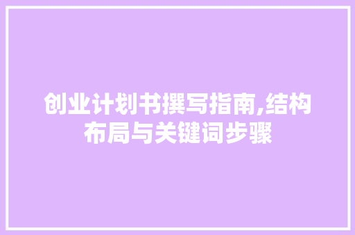创业计划书撰写指南,结构布局与关键词步骤