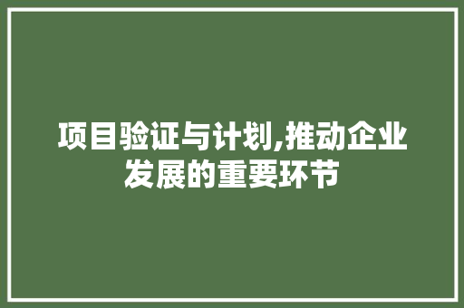 项目验证与计划,推动企业发展的重要环节