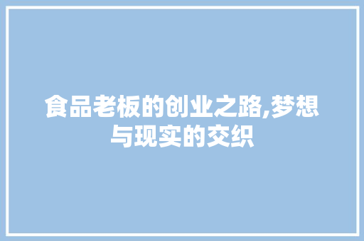 食品老板的创业之路,梦想与现实的交织 短语