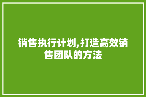 销售执行计划,打造高效销售团队的方法