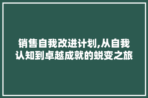 销售自我改进计划,从自我认知到卓越成就的蜕变之旅