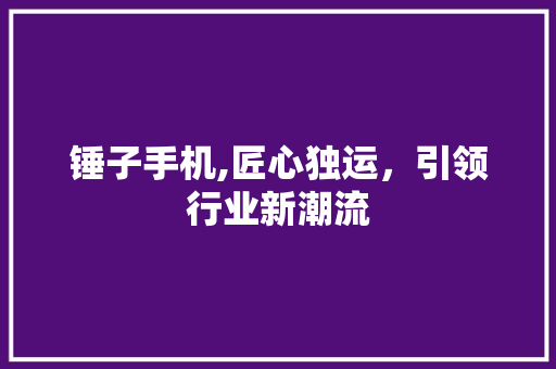 锤子手机,匠心独运，引领行业新潮流