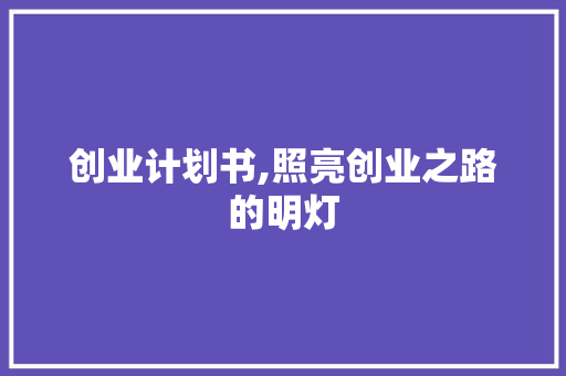 创业计划书,照亮创业之路的明灯