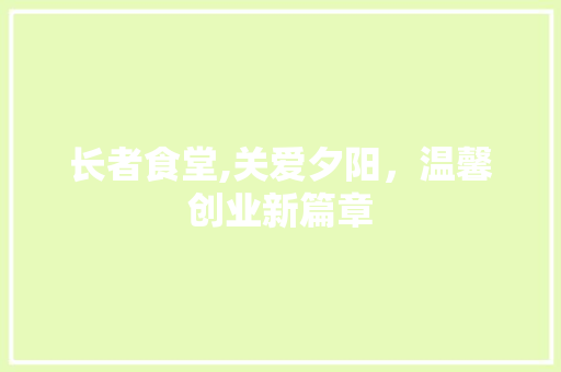 长者食堂,关爱夕阳，温馨创业新篇章