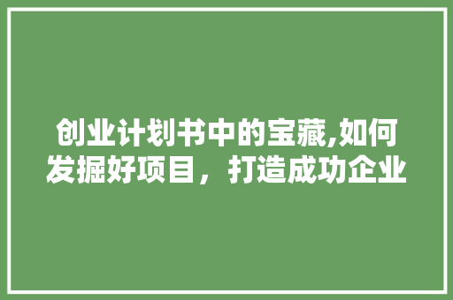 创业计划书中的宝藏,如何发掘好项目，打造成功企业
