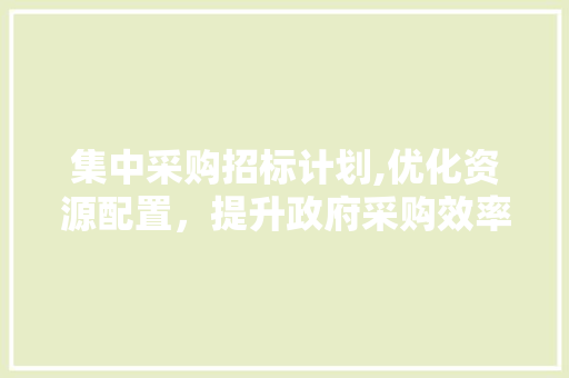集中采购招标计划,优化资源配置，提升政府采购效率