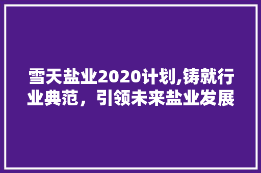 雪天盐业2020计划,铸就行业典范，引领未来盐业发展