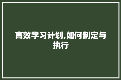 高效学习计划,如何制定与执行