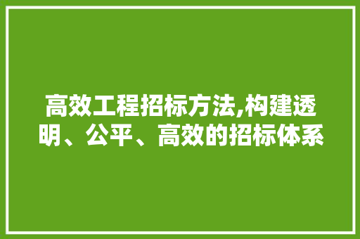 高效工程招标方法,构建透明、公平、高效的招标体系