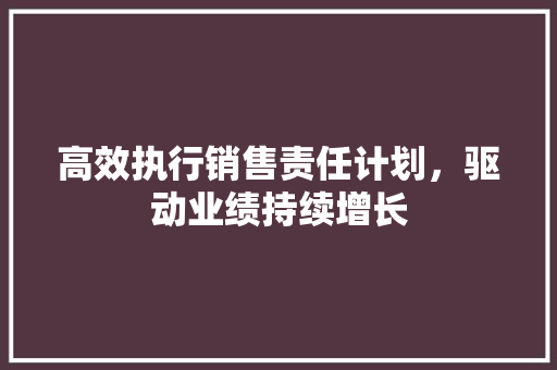 高效执行销售责任计划，驱动业绩持续增长