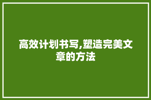 高效计划书写,塑造完美文章的方法