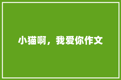 高效采购谈判步骤,以计划书为指导，实现采购目标