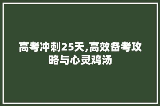 高考冲刺25天,高效备考攻略与心灵鸡汤