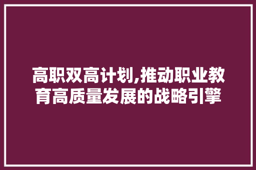 高职双高计划,推动职业教育高质量发展的战略引擎