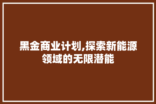 黑金商业计划,探索新能源领域的无限潜能