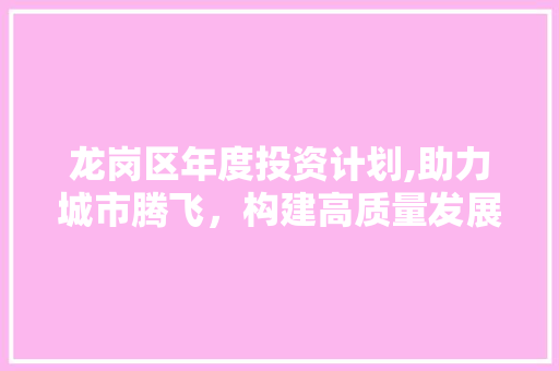 龙岗区年度投资计划,助力城市腾飞，构建高质量发展新格局