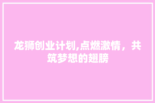 龙狮创业计划,点燃激情，共筑梦想的翅膀