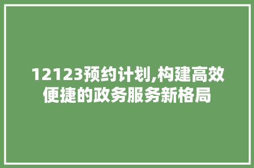 12123预约计划,构建高效便捷的政务服务新格局