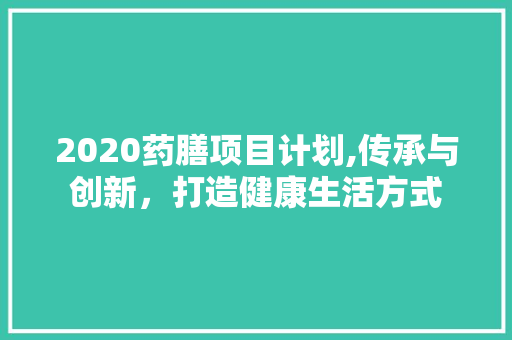 2020药膳项目计划,传承与创新，打造健康生活方式