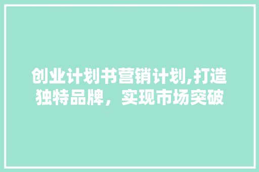 创业计划书营销计划,打造独特品牌，实现市场突破