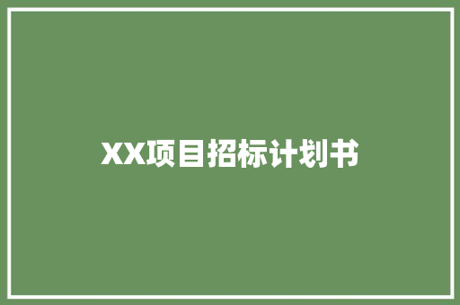 XX项目招标计划书