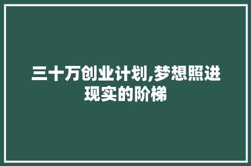 三十万创业计划,梦想照进现实的阶梯