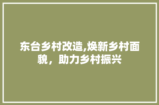 东台乡村改造,焕新乡村面貌，助力乡村振兴