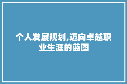 个人发展规划,迈向卓越职业生涯的蓝图
