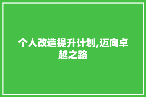 个人改造提升计划,迈向卓越之路