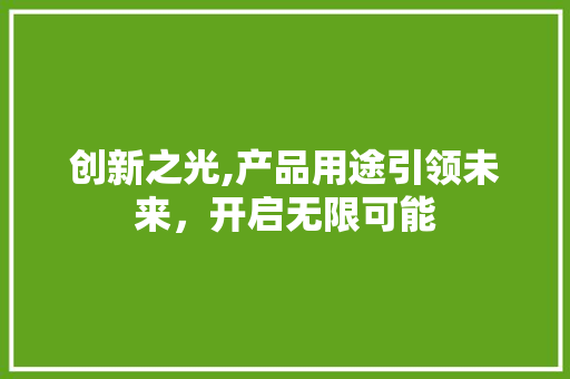 创新之光,产品用途引领未来，开启无限可能