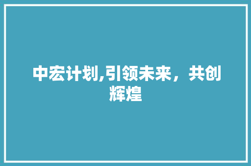 中宏计划,引领未来，共创辉煌