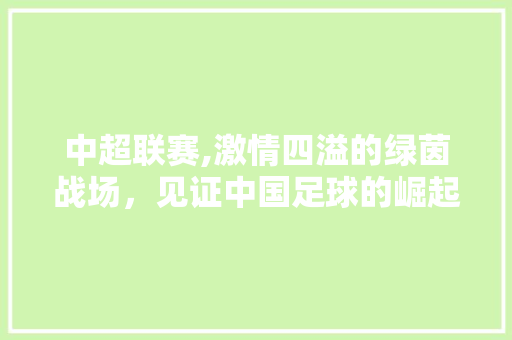 中超联赛,激情四溢的绿茵战场，见证中国足球的崛起