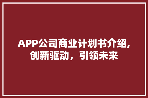 APP公司商业计划书介绍,创新驱动，引领未来