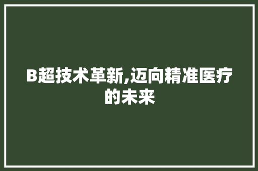 B超技术革新,迈向精准医疗的未来