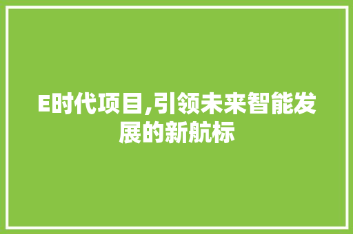 E时代项目,引领未来智能发展的新航标
