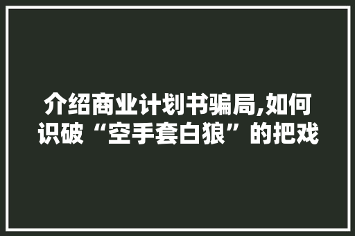 介绍商业计划书骗局,如何识破“空手套白狼”的把戏