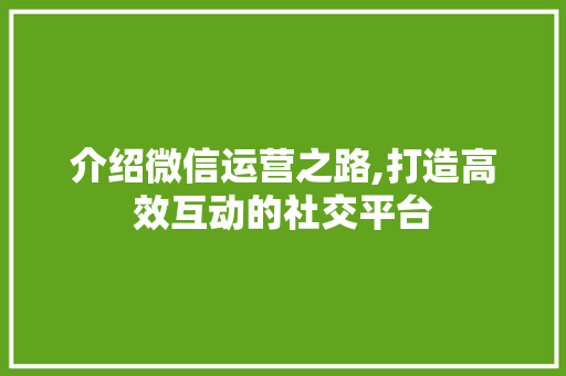 介绍微信运营之路,打造高效互动的社交平台