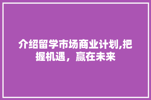 介绍留学市场商业计划,把握机遇，赢在未来