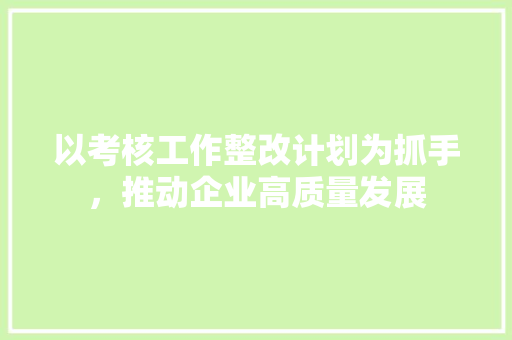 以考核工作整改计划为抓手，推动企业高质量发展 近义词汇