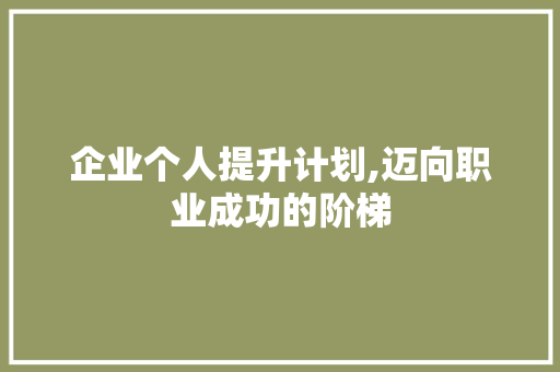 企业个人提升计划,迈向职业成功的阶梯